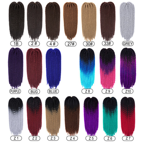 4#  Mambo Twist Braid 22"
