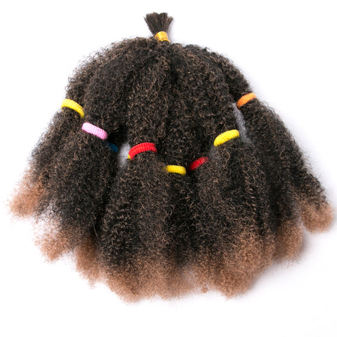 Qp hairCulry Crochet Braids Hair Extensions Synthetic 12 Inch Ombre Braiding Hair Afro Kinky Bulk Twist Braids Black,Bug,Brown