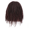 Doris beauty Synthetic Dreadlock Marley Braids Ombre Braiding Hair Wig for Women Afor Kinky Curly Wig Black Ombre Brown Wig