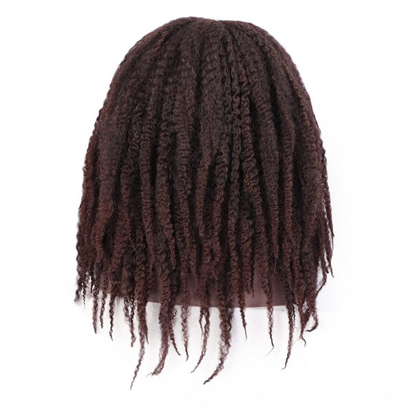 Doris beauty Synthetic Dreadlock Marley Braids Ombre Braiding Hair Wig for Women Afor Kinky Curly Wig Black Ombre Brown Wig