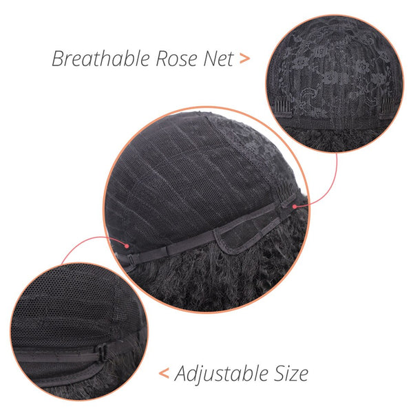 Doris beauty Synthetic Dreadlock Marley Braids Ombre Braiding Hair Wig for Women Afor Kinky Curly Wig Black Ombre Brown Wig
