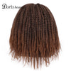 Doris beauty Synthetic Dreadlock Marley Braids Ombre Braiding Hair Wig for Women Afor Kinky Curly Wig Black Ombre Brown Wig