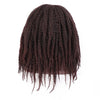 Doris beauty Synthetic Dreadlock Marley Braids Ombre Braiding Hair Wig for Women Afor Kinky Curly Wig Black Ombre Brown Wig