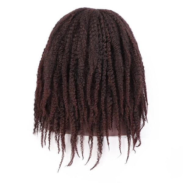 Doris beauty Synthetic Dreadlock Marley Braids Ombre Braiding Hair Wig for Women Afor Kinky Curly Wig Black Ombre Brown Wig