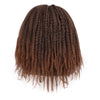 Doris beauty Synthetic Dreadlock Marley Braids Ombre Braiding Hair Wig for Women Afor Kinky Curly Wig Black Ombre Brown Wig