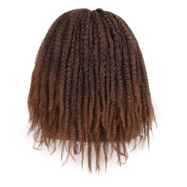Doris beauty Synthetic Dreadlock Marley Braids Ombre Braiding Hair Wig for Women Afor Kinky Curly Wig Black Ombre Brown Wig