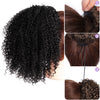 Qp hairSynthetic Afro Kinky Curly Hair Extension Drawstring Puff Ponytail Synthetic Clip in Pony Tail African American Hair Extension