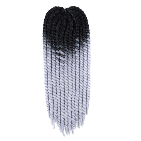 ombre two tone Mambo Twist Braid 22"