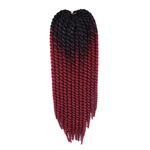 ombre two tone Mambo Twist Braid 22"