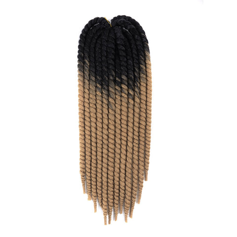 ombre two tone Mambo Twist Braid 22"