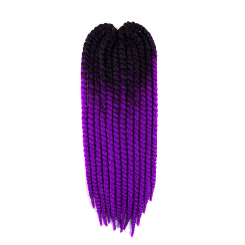 ombre two tone Mambo Twist Braid 22"