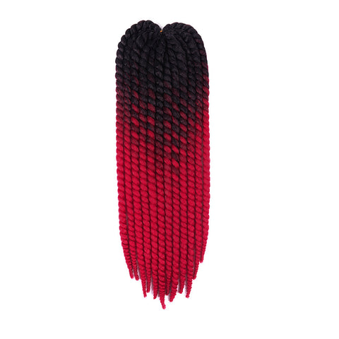 ombre two tone Mambo Twist Braid 22"