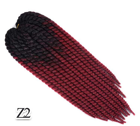 z2  Mambo Twist Braid 22"