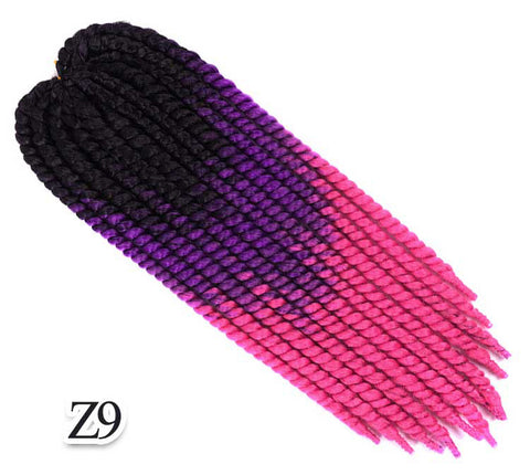 Z9  Mambo Twist Braid 22"