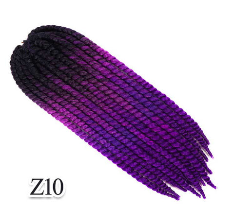 Z10  Mambo Twist Braid 22"
